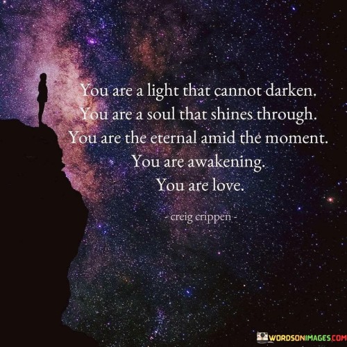 You Are A Light That Cannot Darken You Are A Soul That Shines Through Quotes