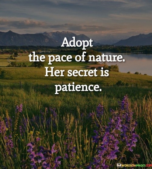 Adopt-The-Pace-Of-Nature-Her-Secret-Is-Patience-Quotes.jpeg
