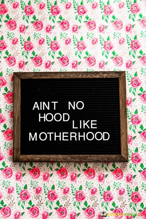 Aint No Hood Like Motherhood Quotes