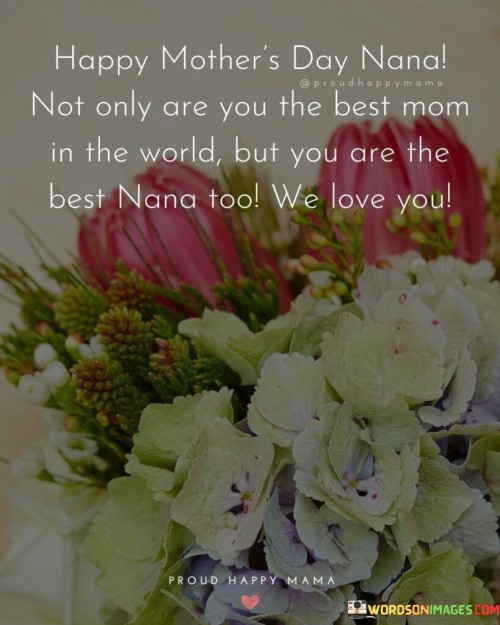 Happy Mother's Day Nana Not Only Are You The Best Mom In The World Quotes