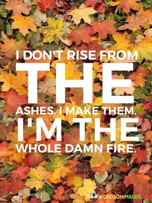 I-Dont-Rise-From-The-Ashes-I-Make-Them-Quotes.jpeg
