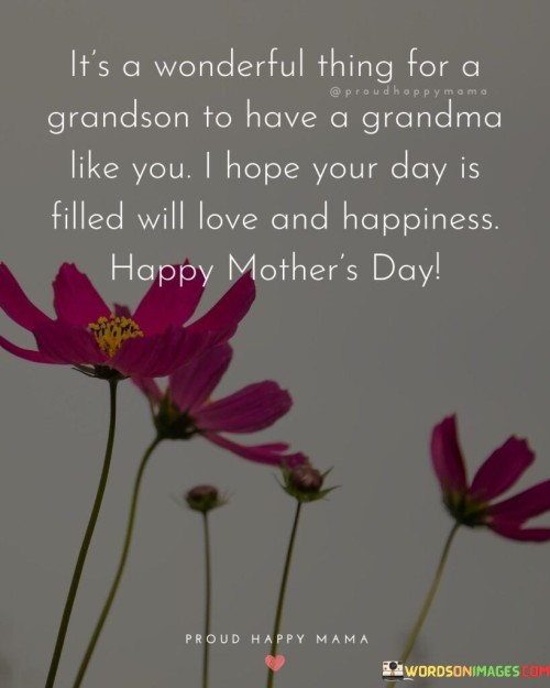 It's A Wonderful Thing For A Grandson To Have A Grandma Like You I Hope Quotes