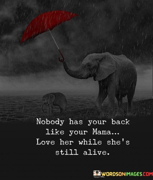 Nobody Has Your Back Like Your Mama Love Her While She's Still Alive Quotes