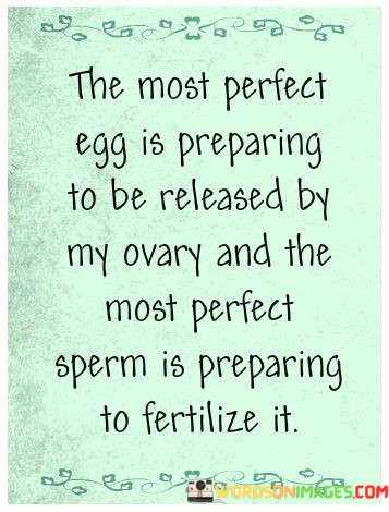 The-Most-Perfect-Egg-Is-Preparing-To-Be-Released-By-My-Ovary-And-The-Quotes.jpeg