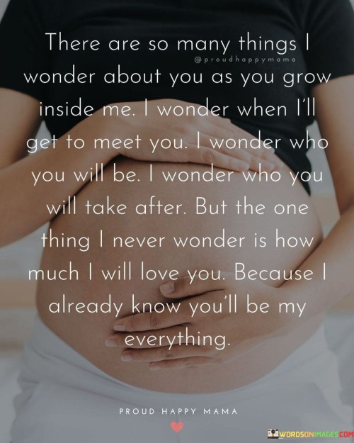 There Are So Many Things I Wonder About You As You Grow Inside Me I Wonder Quotes