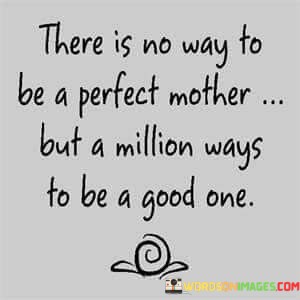 There-Is-No-Way-To-Be-A-Perfect-Mother-But-A-Million-Ways-To-Be-Quotes.jpeg