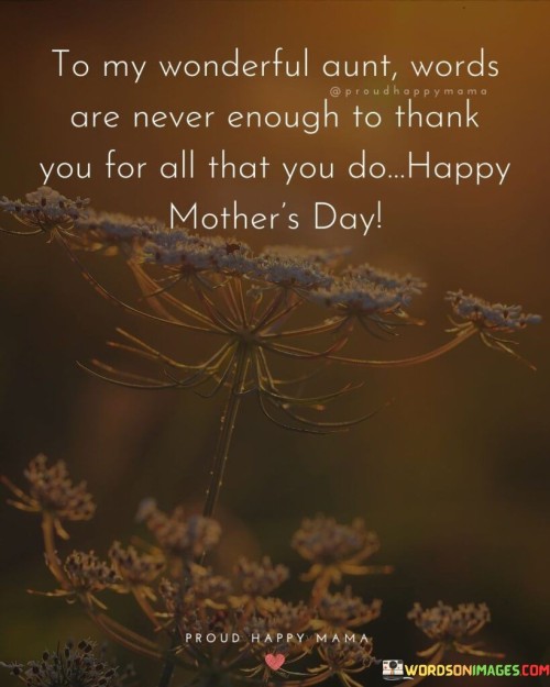 To My Wonderful Aunt Words Are Never Enough To Thank You Quotes