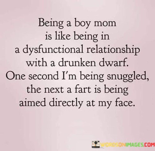 Being A Boy Mom Is Like Being In A Dysfunctional Relationship With A Drunken Dwarf Quotes