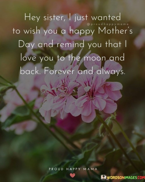 Hey Sister I Just Wanted To Wish You A Happy Mother's Day And Remind You That Quotes