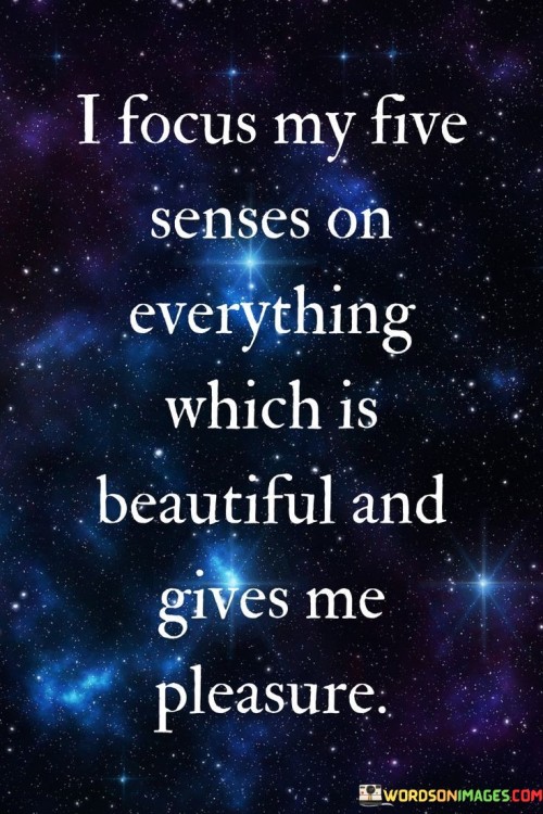 I-Focus-My-Five-Senses-On-Everything-Which-Is-Beautiful-And-Gives-Me-Pleasure-Quotes.jpeg