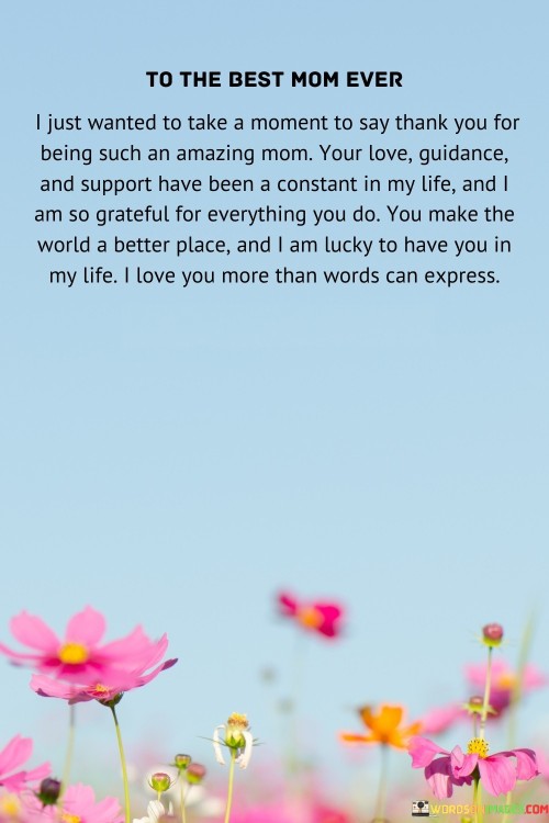 I Just Wanted To Take A Moment To Say Thank You For Being Such An Amazing Mom Quotes