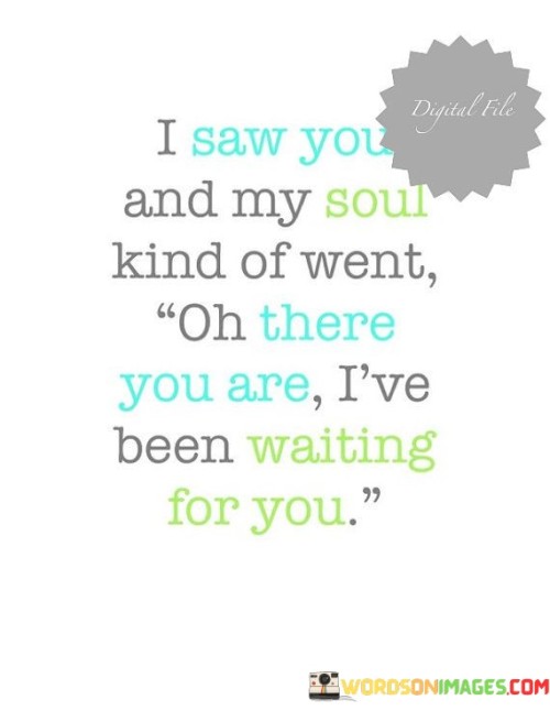 I Saw You And My Soul Kind Of Went Oh There You Are Quotes