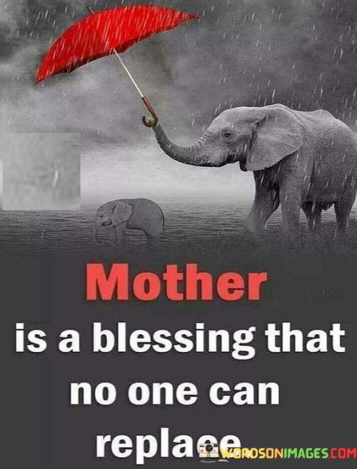 Mother Is A Blessing That No One Can Replace Quotes