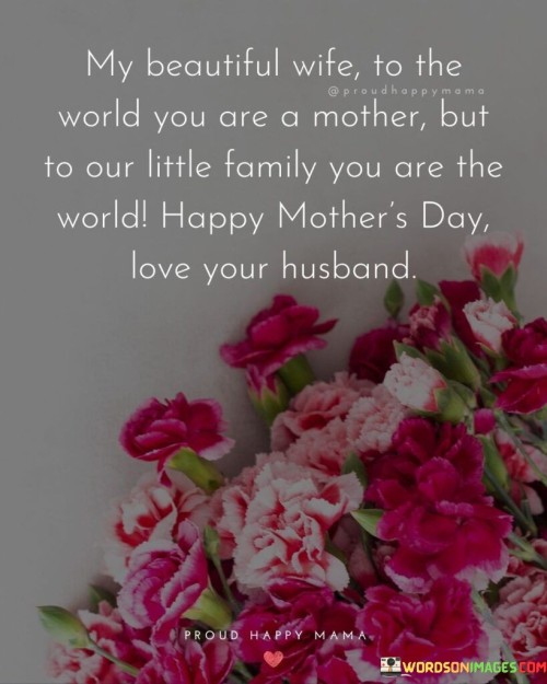 My Beautiful Wife To The World You Are A Mother But To Our Little Quotes