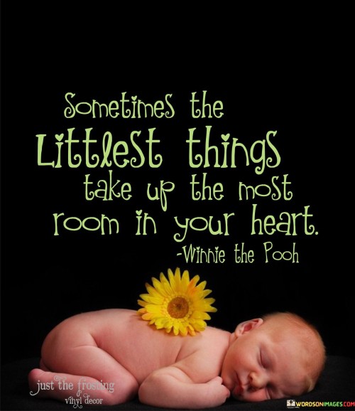 Sometimes The Littest Things Take Up The Most Room In Your Heart Quotes