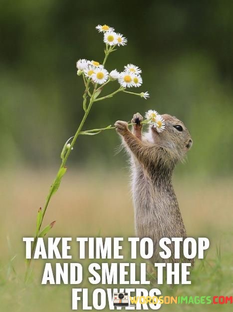 Take-Time-To-Stop-And-Smell-The-Flowers-Quotes