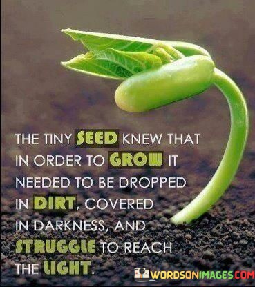 The-Tiny-Seed-Knew-That-In-Order-To-Grow-It-Quotes.jpeg