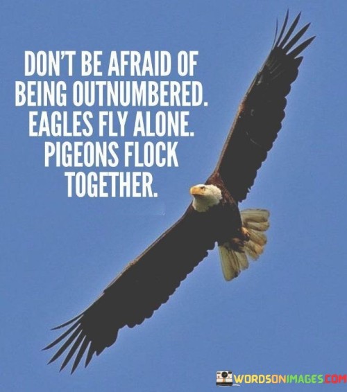 Don't Be Afraid Of Being Outnumbered Eagles Fly Alone Quotes