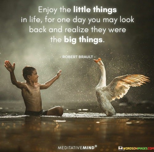 Enjoy-The-Little-Things-In-Life-For-One-Day-You-May-Look-Quotes.jpeg