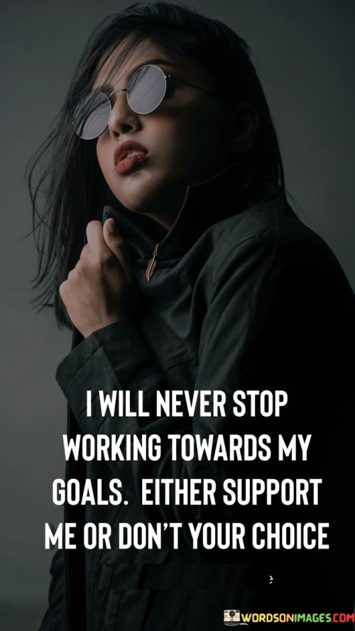 I Never Stop Working Towards My Goals Either Quotes