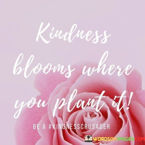 Kindness Blooms Where You Plant It Quotes