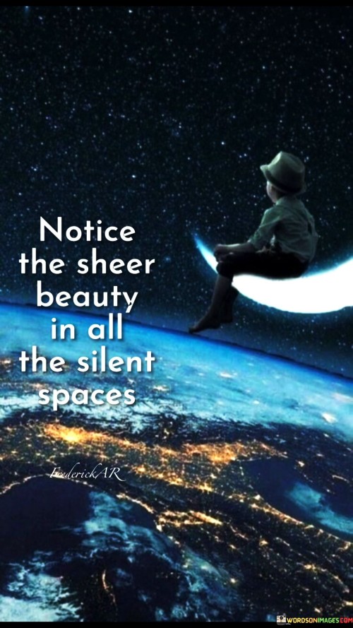 Notice-The-Sheer-Beauty-In-All-The-Silent-Spaces-Quotes.jpeg