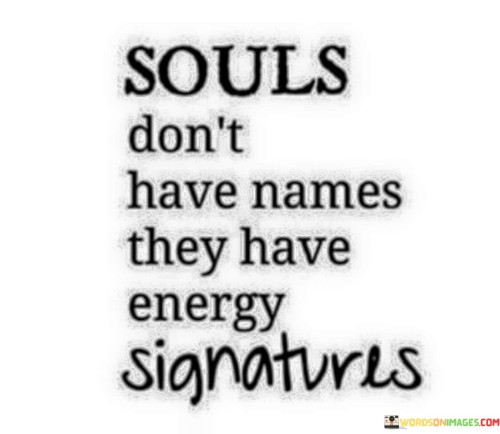 Souls Don't Have Names They Have Energy Signatures Quotes