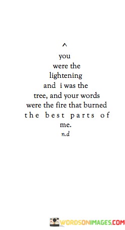 You-Were-The-Lightening-And-I-Was-The-Tree-Quotes.jpeg