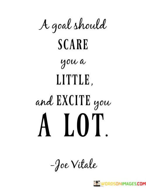 A Goal Should Scare You A Little And Excite You A Lot Quotes