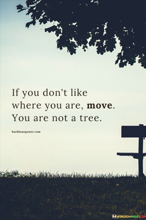 If-You-Dont-Like-Where-You-Are-Move-You-Are-Not-A-Tree-Quotes.jpeg