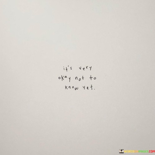 The quote reassures the uncertainty of not having all the answers. "Very okay not to know yet" implies acceptance. The quote emphasizes that being in a state of not knowing is a valid and acceptable phase.

The quote underscores the journey of self-discovery. It reflects the idea that not having everything figured out is a natural part of growth. "Not to know yet" signifies the potential for ongoing learning and evolving understanding.

In essence, the quote speaks to the importance of embracing uncertainty. It emphasizes the value of allowing oneself the space to explore and learn. The quote captures the essence of patience and self-acceptance in the face of ambiguity.