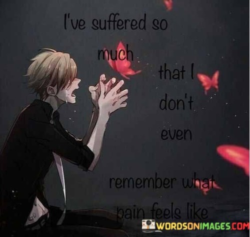 I've Suffered So Much That I Don't Even Remember What Pain Quotes