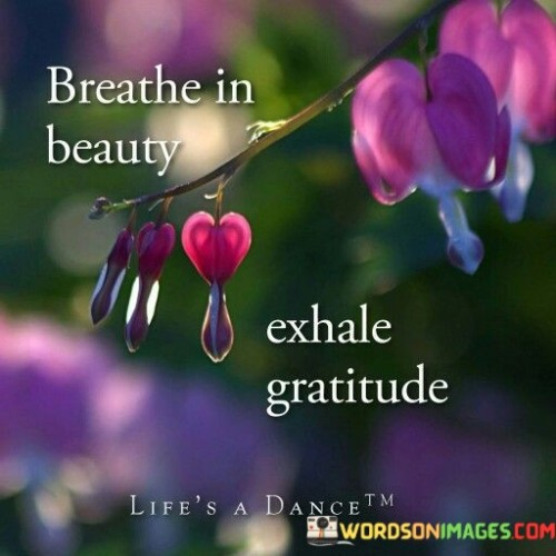 This phrase captures the essence of finding tranquility and gratitude in the present moment. "Breathe In Beauty, Exhale Gratitude" encourages a mindful approach to life. By inhaling the beauty around us, individuals can savor the present, while exhaling gratitude represents releasing negativity and embracing thankfulness.

"Breathe In Beauty, Exhale Gratitude" encapsulates a harmonious connection between the environment and emotional well-being. It implies that appreciating the beauty of the world through mindful breathing can foster a sense of peace and awareness. Exhaling gratitude suggests letting go of stress and embracing positive feelings.

The message promotes the symbiotic relationship between inner and outer experiences. By practicing this concept, individuals can ground themselves in the present moment and find solace in the world's natural wonders. It serves as a reminder that gratitude is a transformative force that can be cultivated through intentional actions, like mindful breathing, leading to enhanced well-being and connection to the surrounding world.