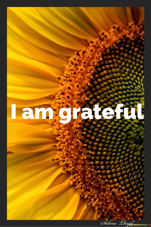This concise statement reflects a deep and simple expression of gratitude. It signifies an appreciation for life, experiences, and blessings. By stating "I am grateful," the speaker acknowledges the positive aspects of their life and the value of practicing gratitude as a mindset.

"I Am Grateful" conveys a powerful sentiment in just three words. It encapsulates the idea that gratitude is a fundamental attitude that can shape one's perspective. The statement emphasizes the importance of recognizing the goodness in life and valuing the present moment.

The message encourages mindfulness and a positive outlook. By affirming gratitude, the speaker is embracing the act of appreciating what they have. This succinct expression reflects the profound impact of acknowledging blessings, no matter how small, and serves as a reminder of the transformative power of gratitude in daily life.