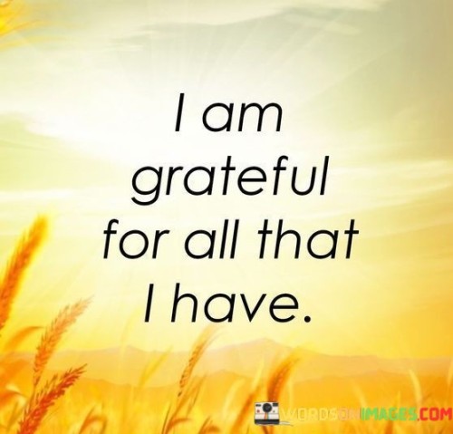 This statement conveys a sense of gratitude for everything the speaker possesses. It represents an acknowledgment of the blessings, both big and small, that make up their life. By expressing this gratitude, the speaker emphasizes contentment and appreciation for their current circumstances.

"I Am Grateful for All That I Have" encapsulates a comprehensive sense of thankfulness. It suggests that the speaker recognizes the richness of their life and the value of what they've been given. The statement reflects the idea that gratitude goes beyond material possessions to encompass relationships, experiences, and personal growth.

The message promotes the practice of gratitude as a way of enhancing well-being. By consciously focusing on what one has rather than what's lacking, individuals can cultivate a positive outlook and foster emotional resilience. It signifies the power of appreciating the present moment and the gifts that contribute to a fulfilled life.