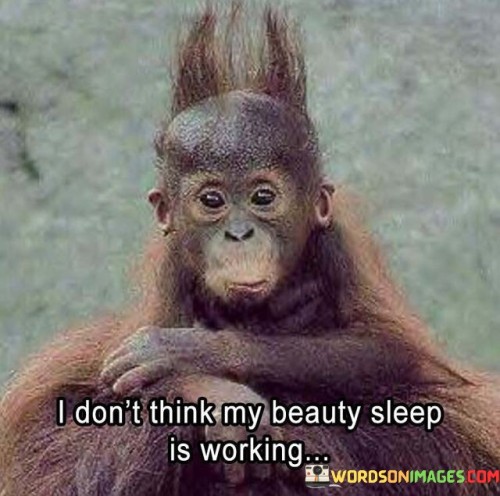 I Don't Think My Beauty Sleep Is Working Quotes