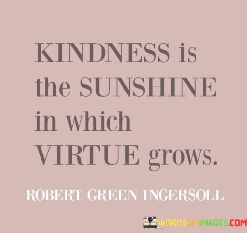 Kindness-Is-The-Sunshine-In-Wich-Virtue-Grows-Quotes.jpeg