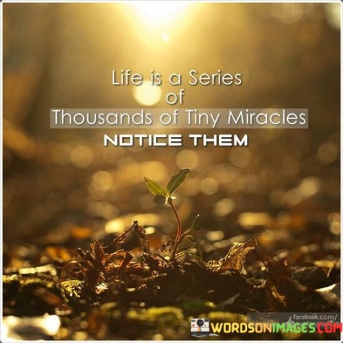Life-Is-A-Series-Of-Thousands-Of-Tiny-Miracles-Notice-Them-Quotes.jpeg