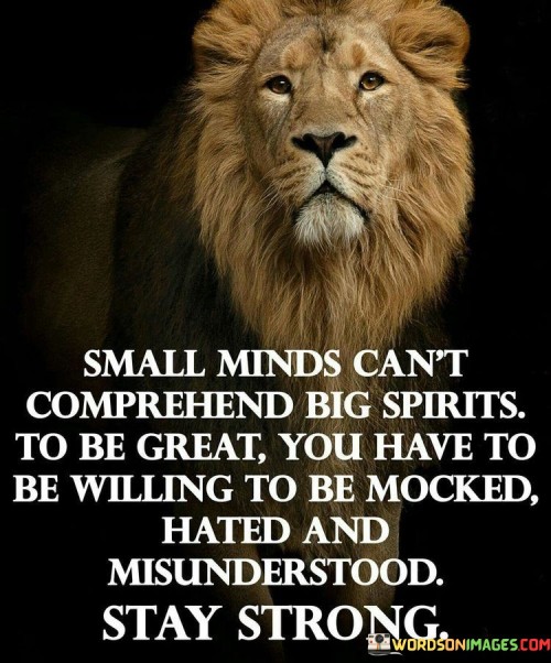 Small-Minds-Cant-Comprehend-Big-Spirits-Quotes.jpeg