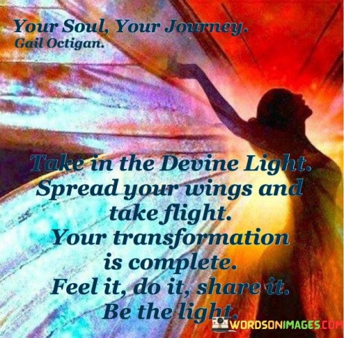 Take-In-The-Divine-Light-Spread-Your-Wings-And-Take-Flight-Quotes.jpeg
