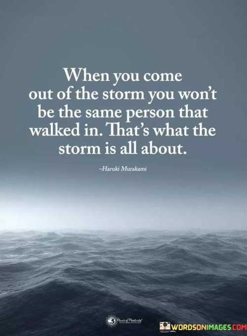 When You Come Out Of The Storm You Won't Quotes