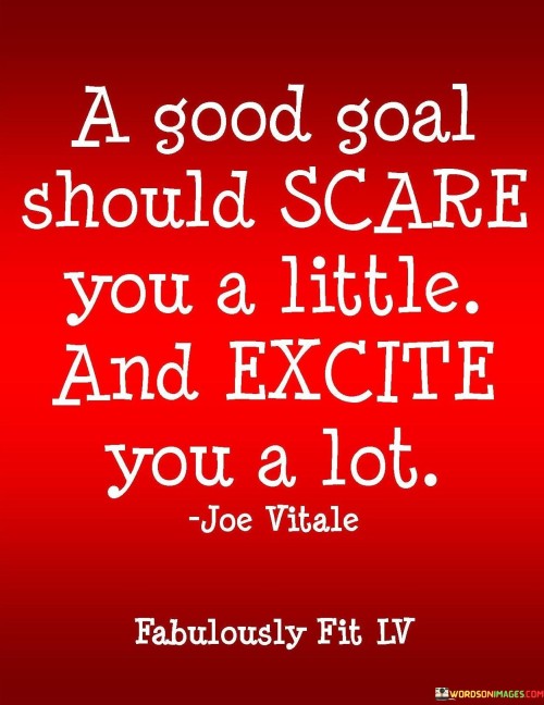 A Good Goal Should Scare You A Little And Excite Quotes