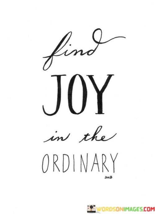 Find Joy In The Ordinary Quotes