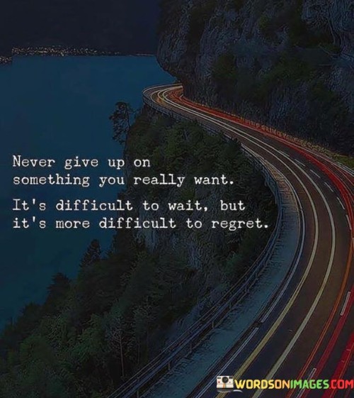 Never Give Up On Something You Really Want It's Difficult Quotes