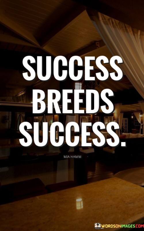 The phrase "Success breeds success" succinctly conveys the concept that achieving one's goals can lead to further accomplishments and positive outcomes.

This phrase underscores the momentum of achievement. It suggests that the confidence, experience, and positive mindset gained from one success can contribute to the realization of subsequent successes.

Ultimately, the quote serves as a reminder of the positive cycle of achievement. By highlighting that each triumph can pave the way for greater accomplishments, individuals are encouraged to build upon their achievements and continuously strive for new heights of success.