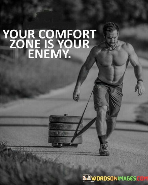 Your-Comfort-Zone-Is-Your-Enemy-Quotes.jpeg