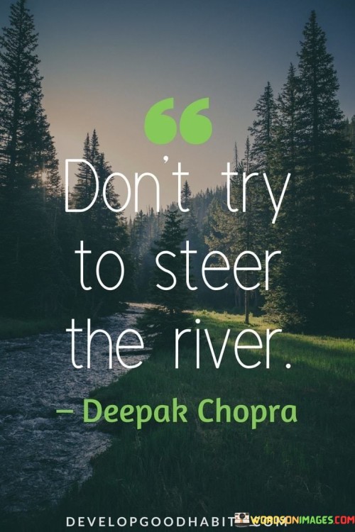 Dont-Try-To-Steer-The-River-Quotes.jpeg