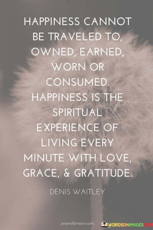 Happiness-Cannot-Be-Traveled-To-Owned-Earned-Worn-Quotes.jpeg