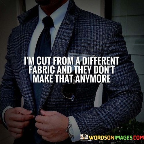 Im-Cut-From-The-Different-Fabric-And-They-Dont-Make-That-Quotes.jpeg