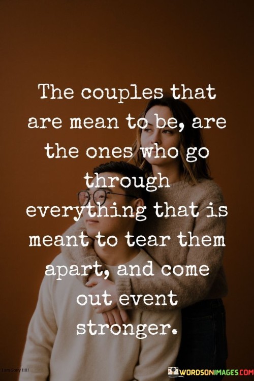 The Couples That Are Mean To Be Are The Ones Who Go Through Everything Quotes